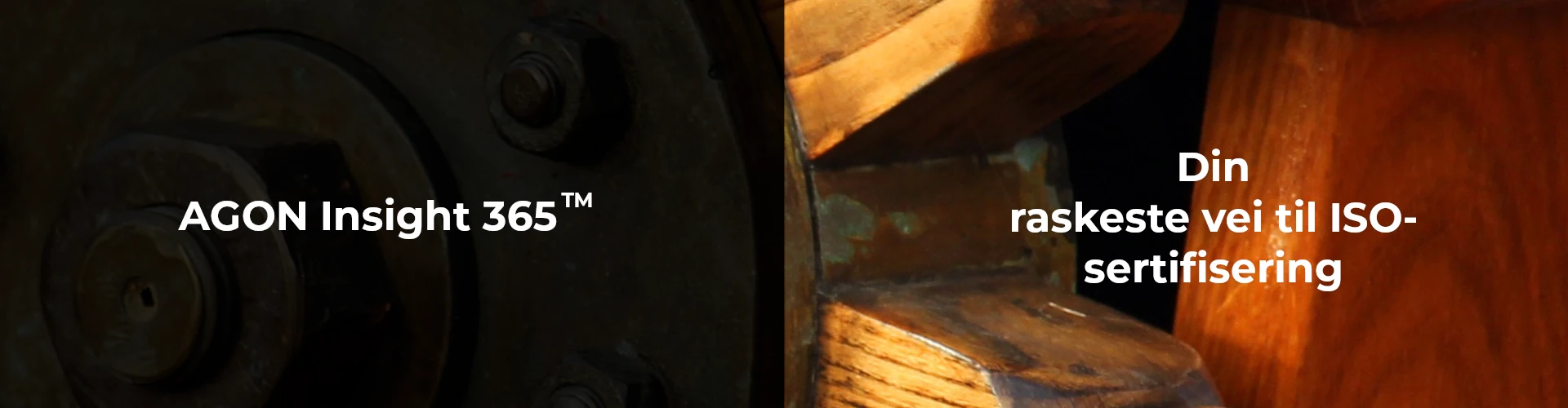 Agon Insight 365 banner